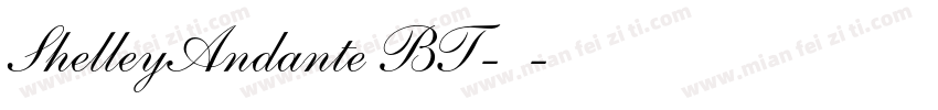 ShelleyAndante BT-常规字体转换
